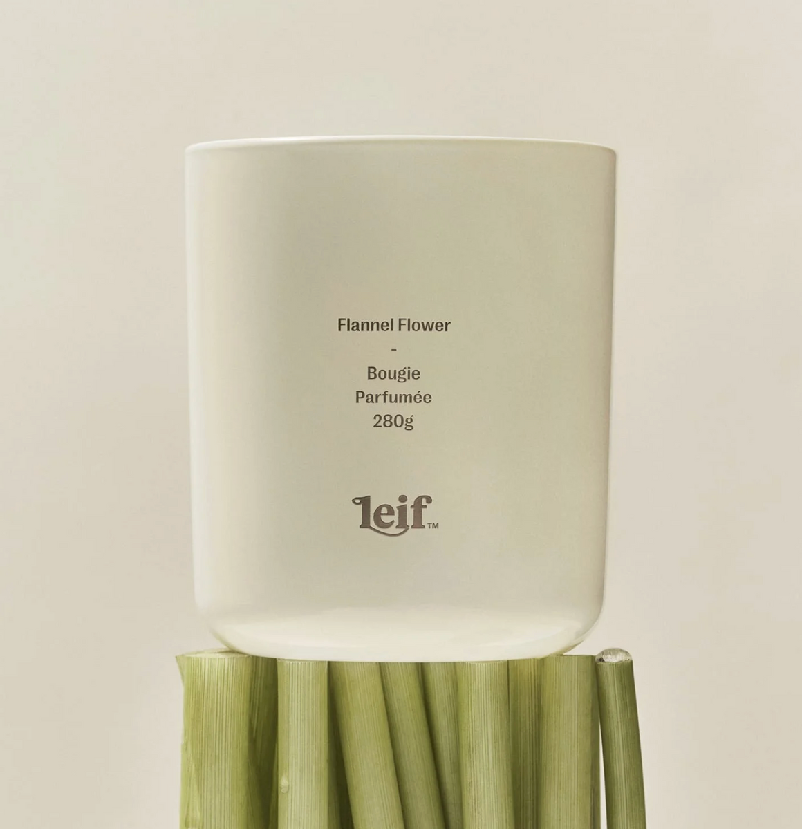 Leif Flannel Flower Candle