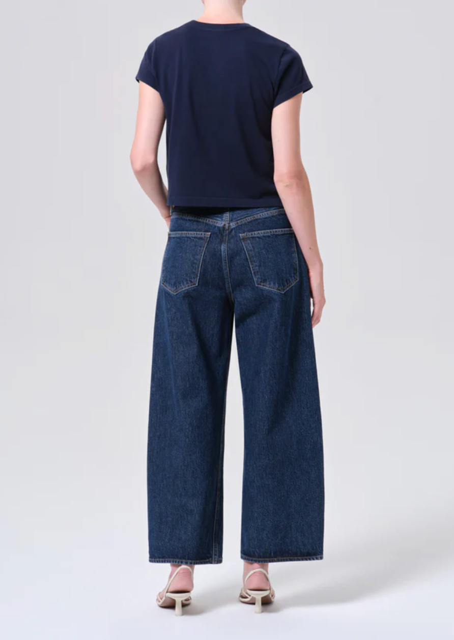 Agolde Low Curve Crop Jean - Pendulum