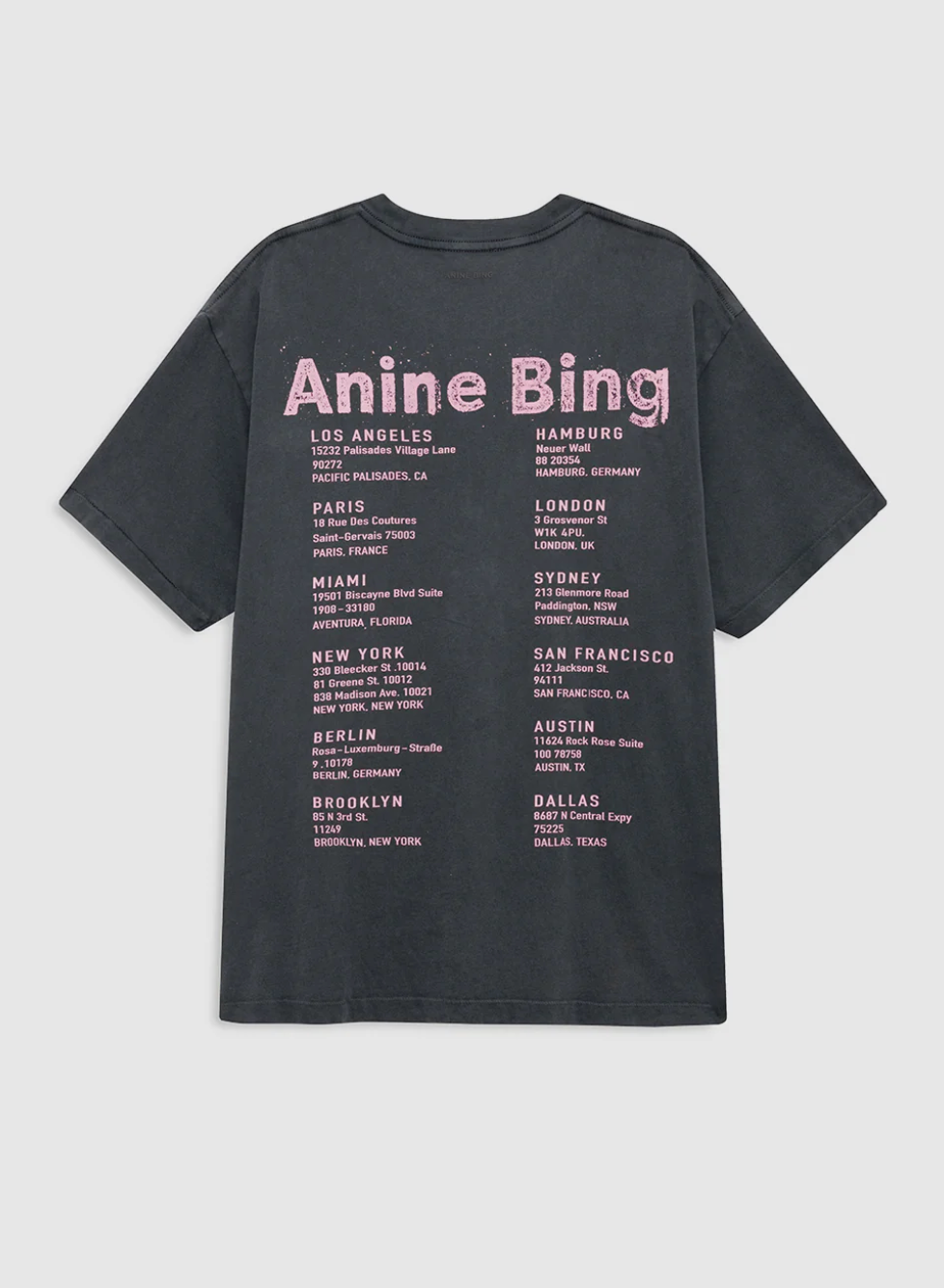 Anine Bing Cade Tee Smiley - Washed Grey